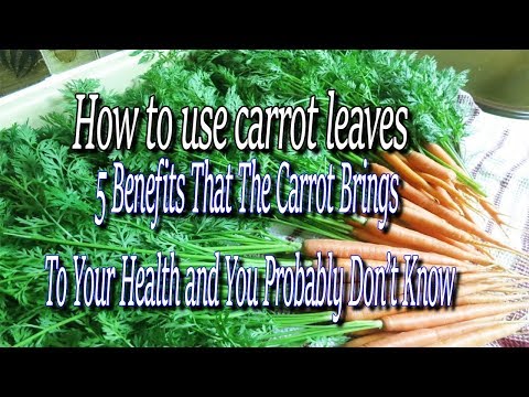 download lagu mp3 mp4 Benefits Of Carrot Greens, download lagu Benefits Of Carrot Greens gratis, unduh video klip Benefits Of Carrot Greens