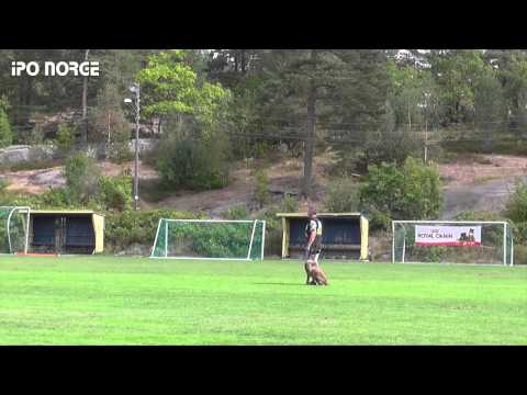 FCI NM IPO 2014 - Trond Otter Johansen - C-Lux av Staalhjerte - B