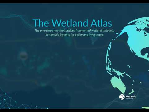 Wetlands International | Vibepedia