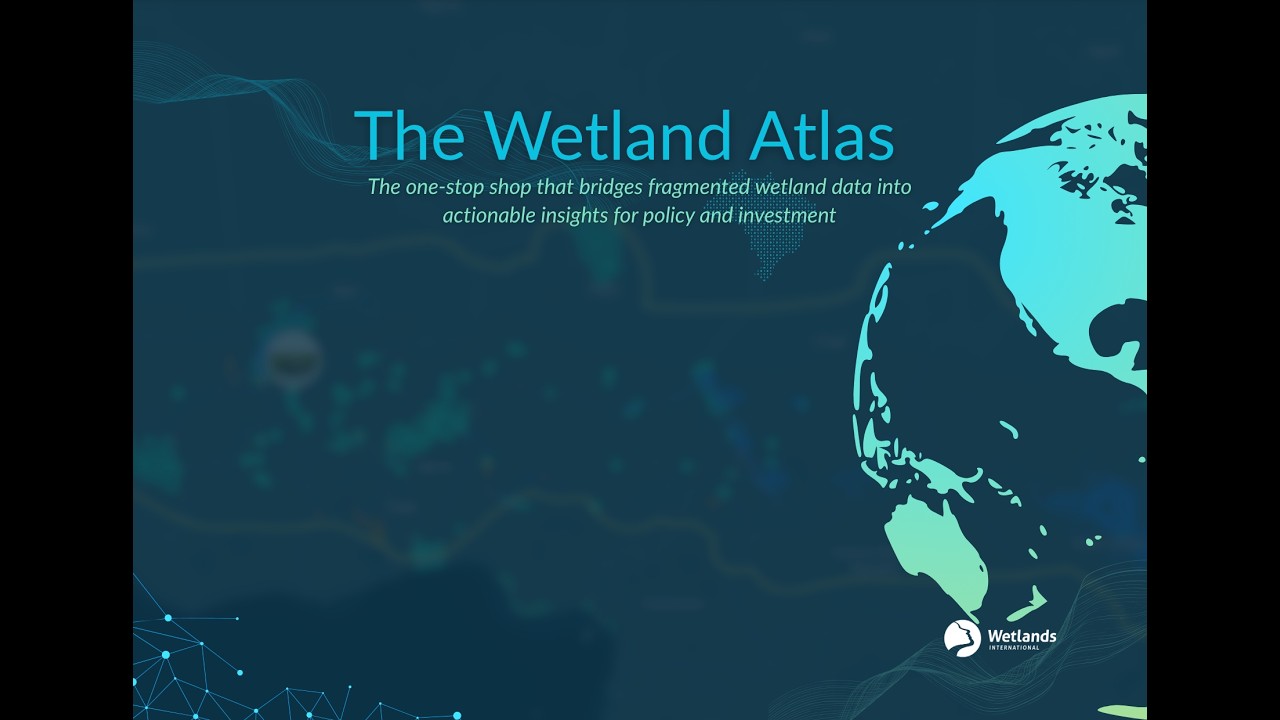 The Wetland Atlas