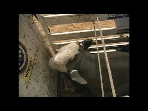 Dillinger bucks Chris Sorace - 00 PBR Ft. Worth