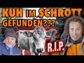 A COW In A JUNK CAR How Can That Be Fred S Territory Episode 149
