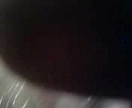 Volley Rogliano...il Brindisi di Lucchetta!!!