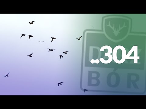 Darz Bór zapowiedź odcinka 304