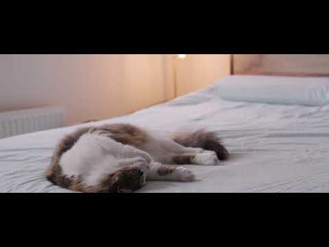 Baby Lullaby || Free Sleep Music || Royalty Free Lullaby || Free Music