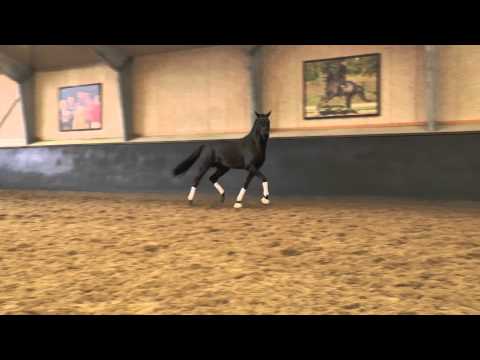 Freestyle (Fürstenball/Don Romantic)