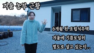 귀농 4년차 청년농부 참동이 근황(안 죽었어유)