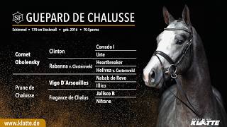 Video di Guepard de Chalusse