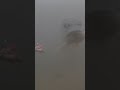Video Thumbnail for Will Northern Pike Eat Worms?