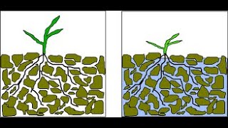 WATERLOGGING | IRRIGATION