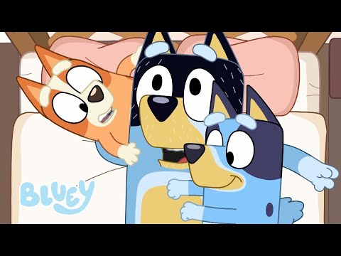 Stagione 1 e 2 Episodi Completi 💙 📺 | 1 HORA+ | Bluey Italiano Canale Ufficiale 💙 🇮🇹