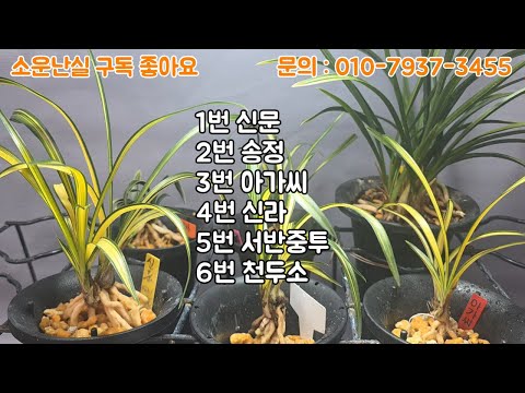 유튜브 썸네일