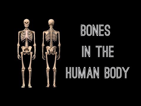 Mr. Curry's PE Page - SECTION 2 - Week 2