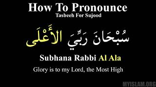 Download lagu Subhana Rabbi Al Ala (What to say in sujood for Salah) mp3 Download lagu Subhana Rabbi Al Ala (What to say in sujood for Salah) mp3