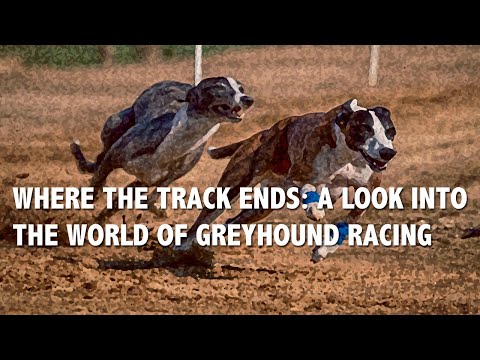 Where the Track Ends: A documentary about greyhound racing