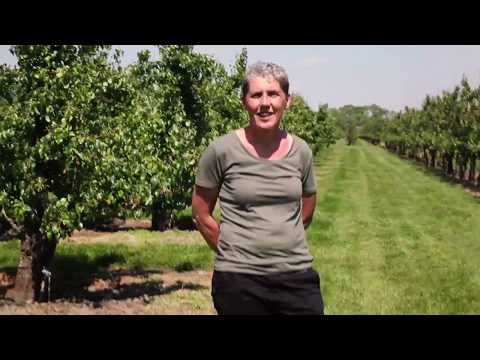 De peren van Lena Zevenbergen veroveren Rotterdam - Masterclass Stad-Platteland