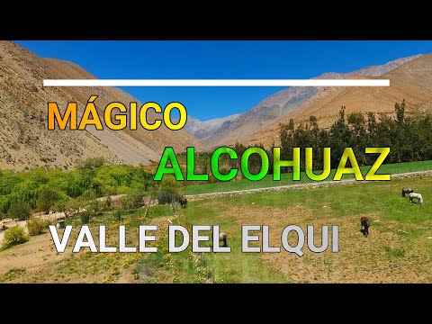 ALCOHUAZ VALLE DEL ELQUI