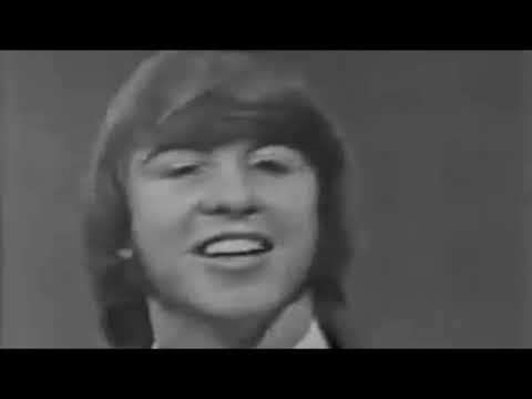 COUNT FIVE Psychotic Reaction   Subtítulos