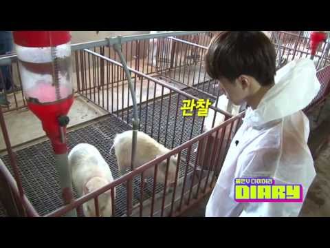 [Raw]130423 SBSMTV VIXX Plan V Diary E04-1