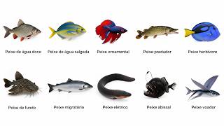 10 Tipos de Peixes Que Você Precisa Conhecer (Do Comum ao Bizarro!)