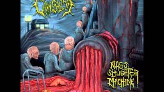 Filial Cannibalism - Menstrual Asphyxiation