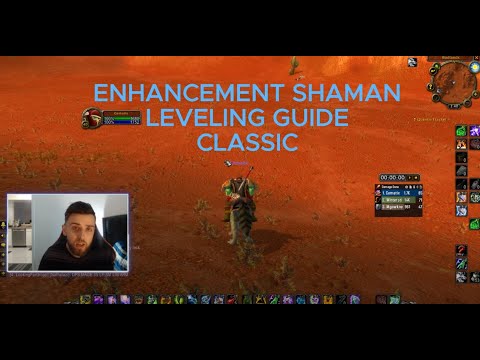 Classic Enhancement Shaman In-depth Leveling Guide (Tips & Tricks)