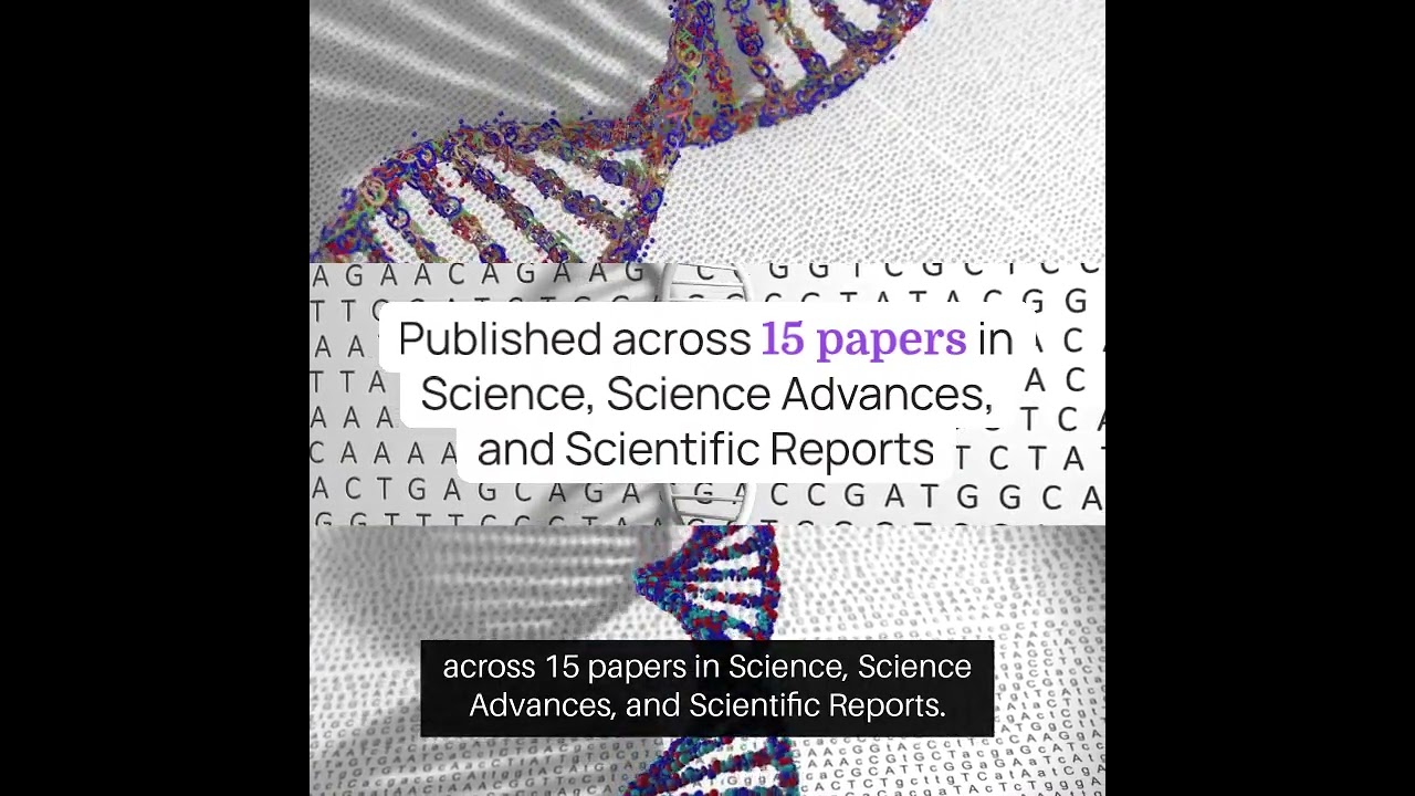 Scientists map networks regulating gene function in the human brain