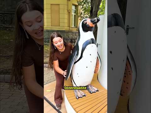 Una persona loca intenta robar un bebé panda #shorts #youtubeshorts