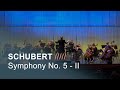 SCHUBERT - Symphony No. 5 in B♭ major, D. 485 - II: Andante con moto