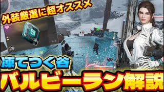 TFD 凍てつく谷でバルビーラン⁉️ヘイリーのリタクター厳選が可能‼️新しい新バルビーランを解説【The First Descendant】