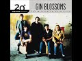 Gin Blossoms - Idiot Summer