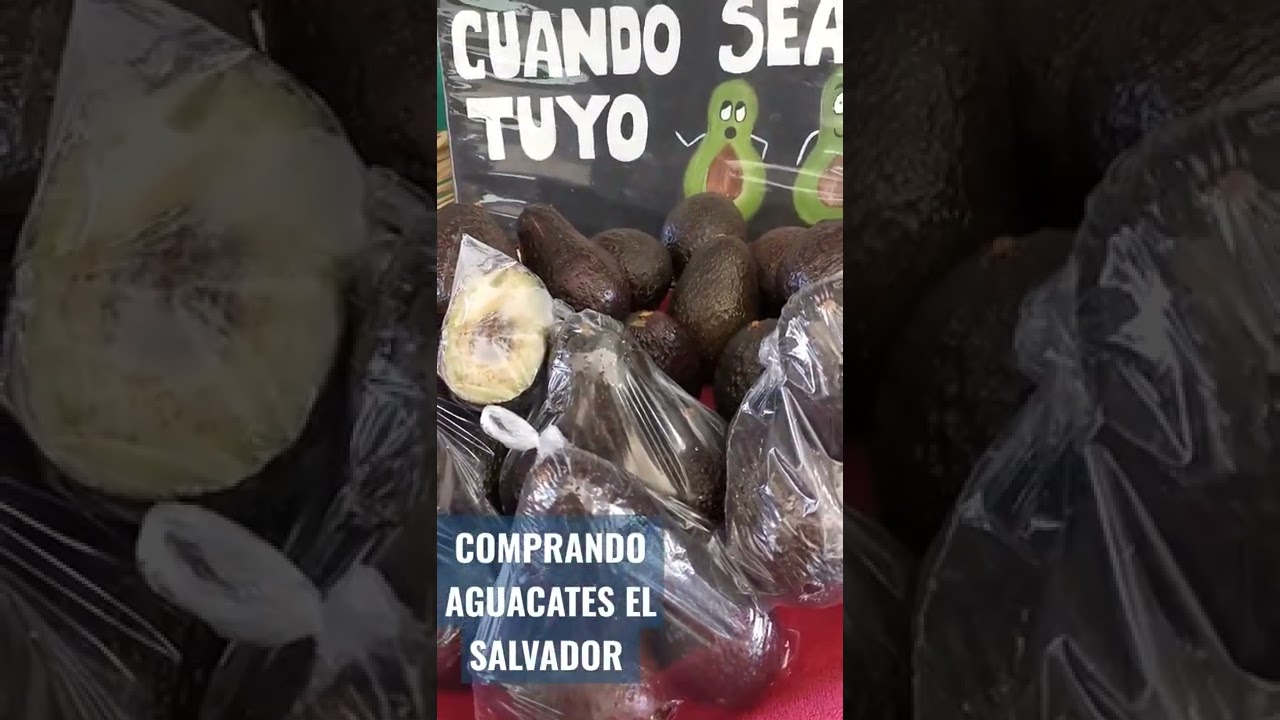 COMPRANDO AGUACATES EN EL SALVADOR 😇😇