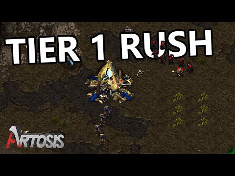 Making the Early Game Count - Rush vs. Best G4