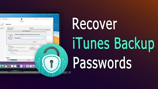 How to Decrypt iTunes Backup Password on Mac When You Forgot iTunes Password