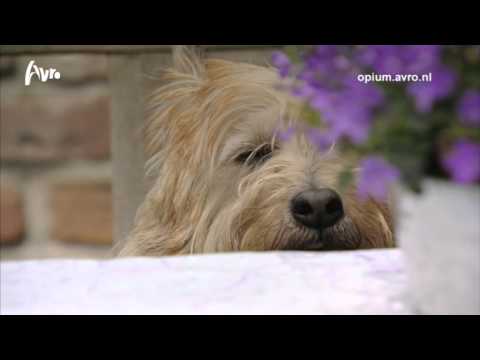 Opzij Literatuurprijs 2012 - Vonne van der Meer