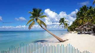 Beachy Bossa Beach