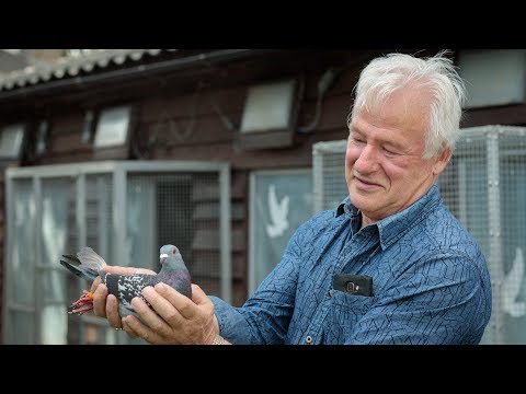Nationale winnaars ZLU 2017 - Narbonne: Nico van den Hurk, Oss (with English subtitles)