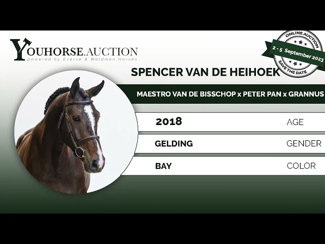 Spencer @ show