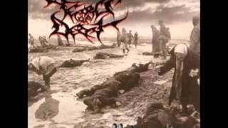 TEARS OF DECAY - 