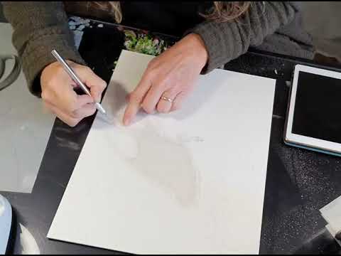 Crimson Rosella - masking out the subject before airbrushing background.