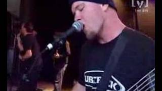 The Butterfly Effect - Crave (Live)