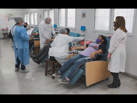 En el Día Mundial del Donante de Sangre alientan a los jóvenes a ser protagonistas