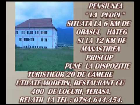 PENSIUNEA " LA PLOPI" ASTEAPTA VIZITATORI DIN TOATA TARA