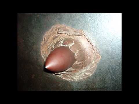 Kelo Feat Wojtek & Nowy - Shotgun (Prod.Kosa)