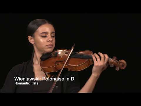 Figure 11.23 Ornaments