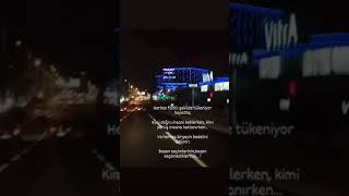 Nezih Üçler - lacivert