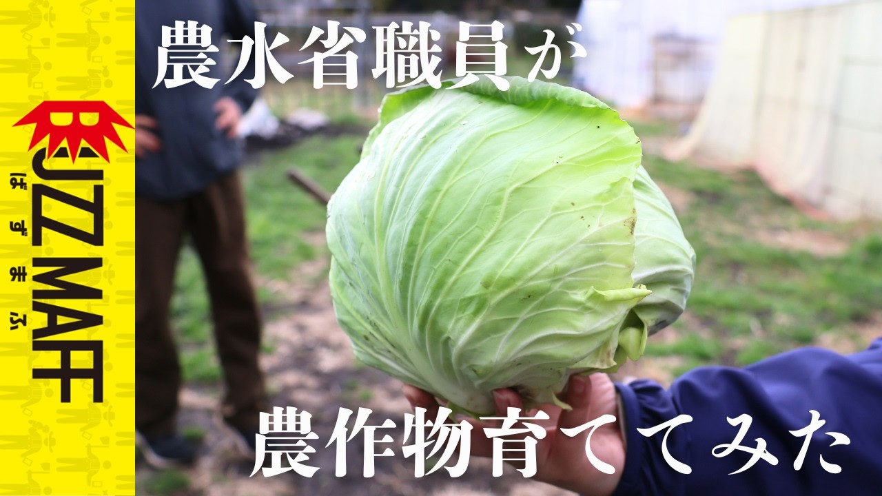 今までありがとうございました！！【農水省職員が農作物育ててみた】