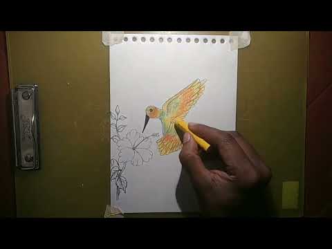 Easy painting/Bird Rich And Smooth colour painting