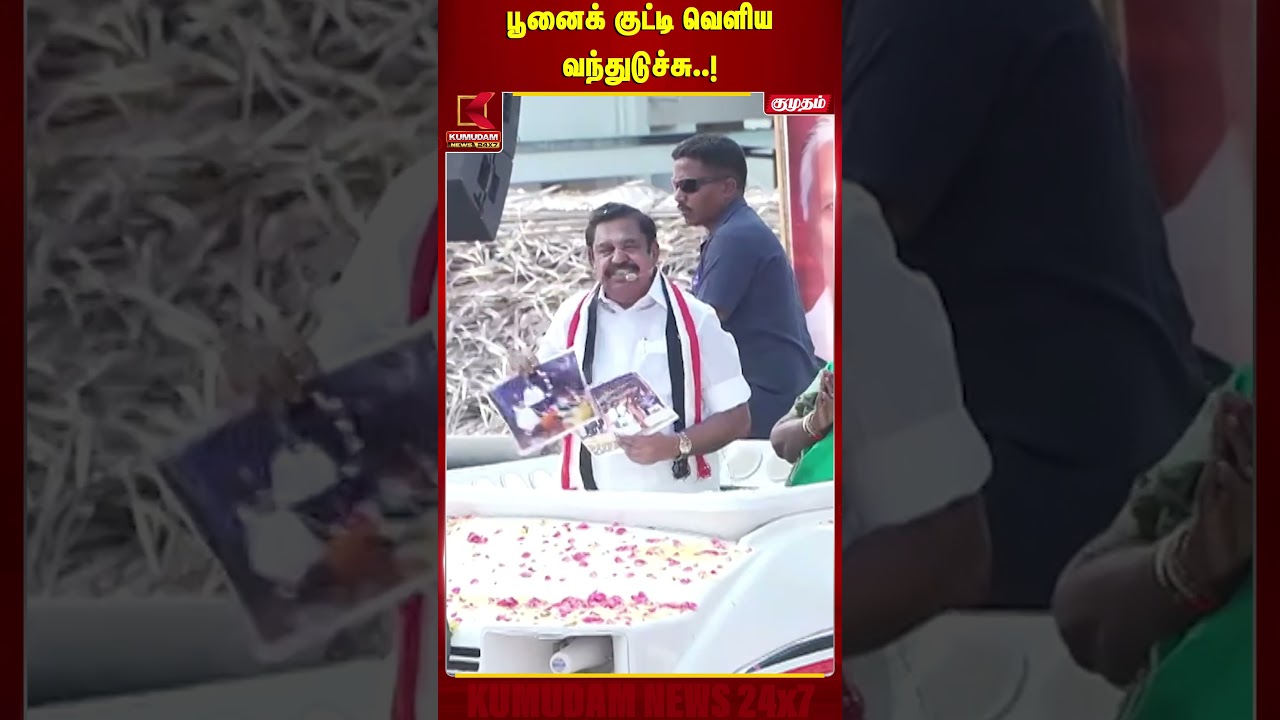 பூனைக் குட்டி வெளிய வந்துடுச்சு..! | ADMK | EPS | CAMPAIGN