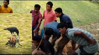 Kauwa ko pani mile gaki nahi real video _ real stories sale real life Kauwa video _ viral video